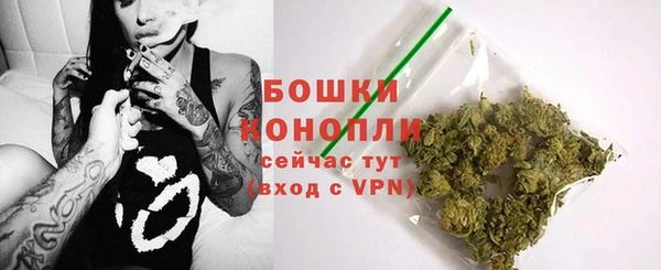 тгк Богданович