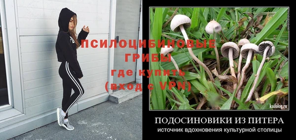 хмурый Богородск