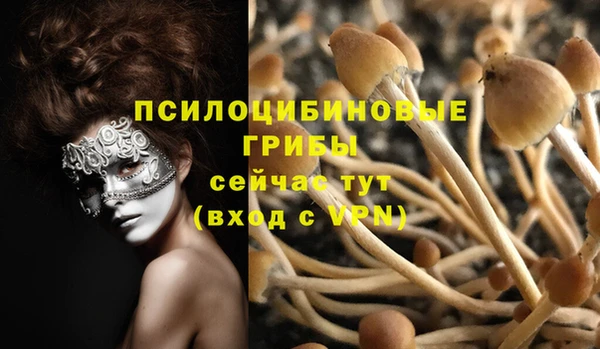 тгк Богданович