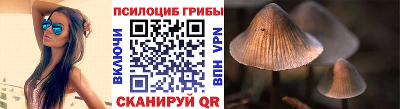 Псилоцибиновые грибы Magic Shrooms  Купить где  Комсомольск 